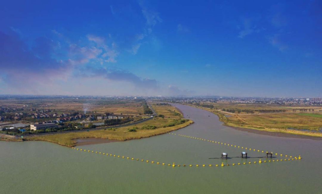 1586241865173691.jpg 2019423153956220.jpg